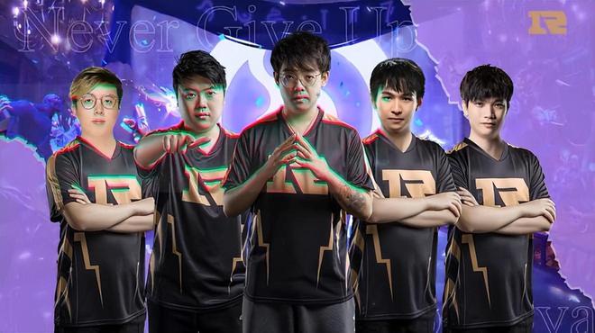 速度与弹性 速度与弹性